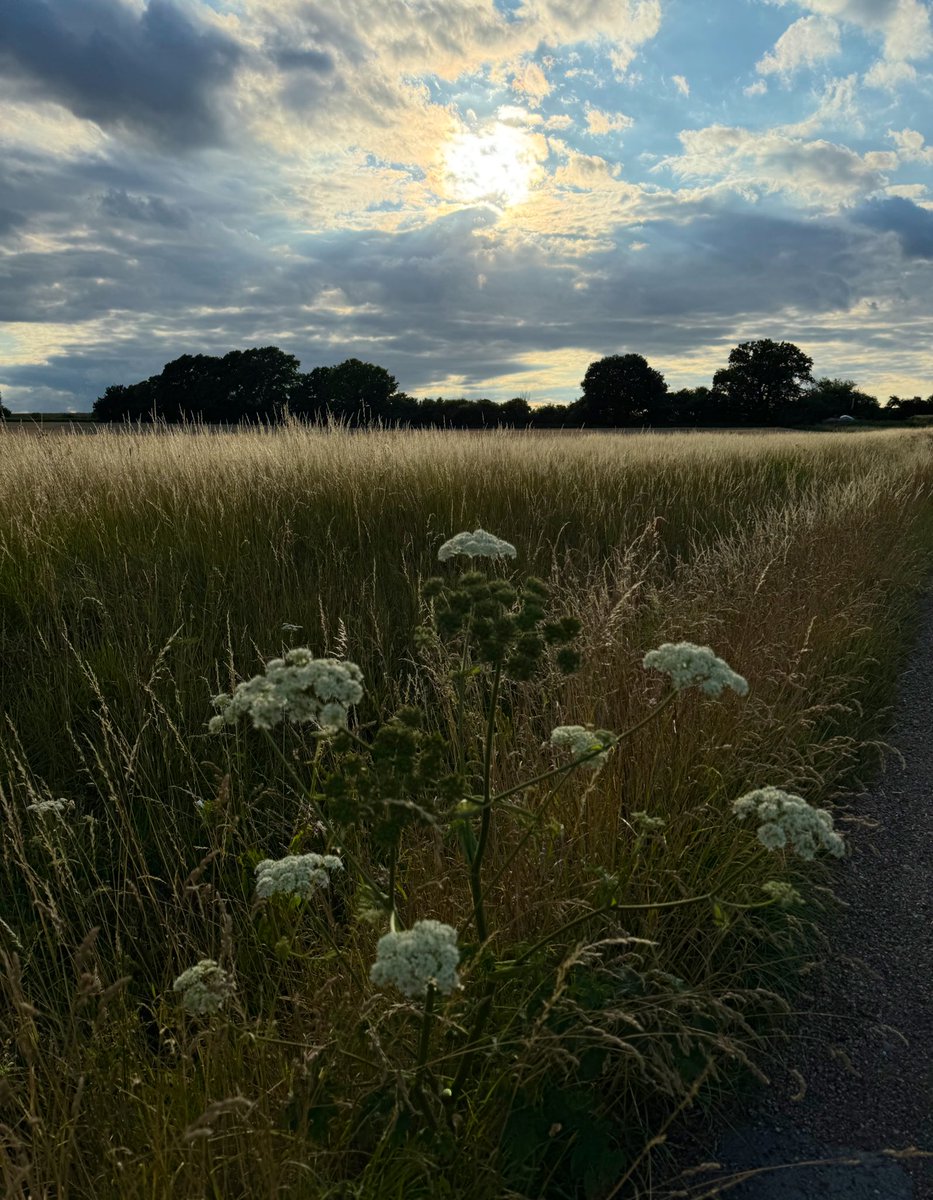 APCAFC's tweet image. Patrixbourne to Canterbury 

#GoingAroundtheUKCoastAgain 
Day 149
SIDEPROJECT
#ElhamValleyWay 
#NorthDownsWay