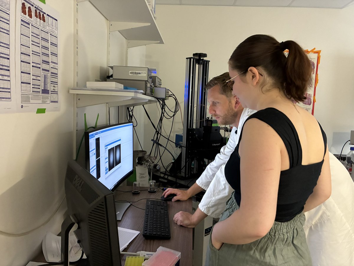 GDR Organoïdes tweet media