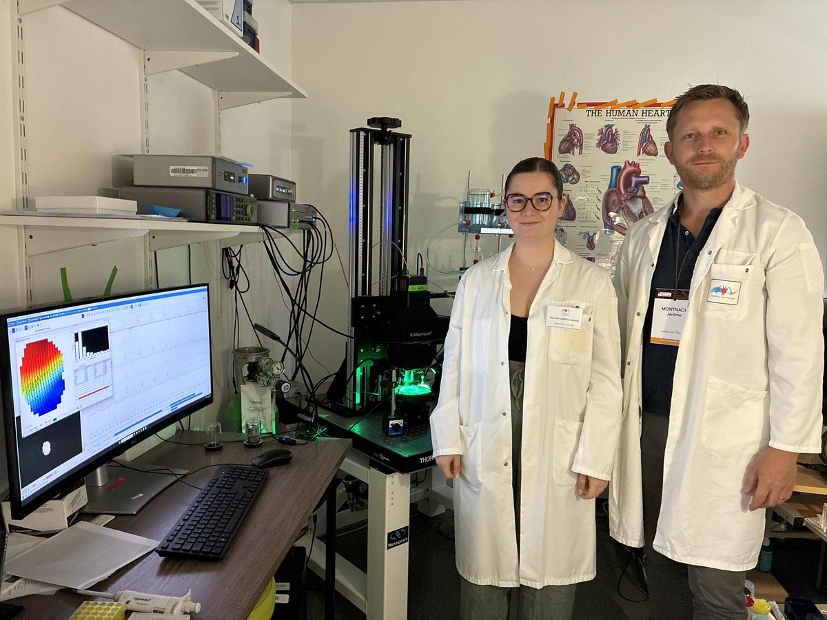 GDR Organoïdes tweet media