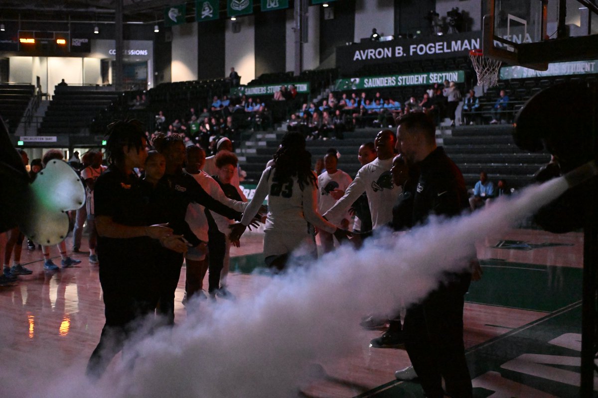 tuwaveriders's tweet image. There’s nothing like a game day at Avron B. Fogelman Arena in the Devlin Fieldhouse.
Wave Riders earn 2,000 points for attending Tulane Women’s Basketball 💚🌊
Come join us this fall!
#RideTheWave | #RollWave🌊