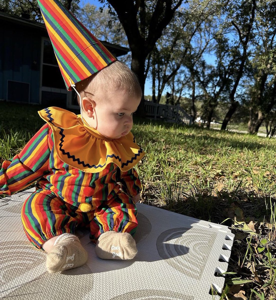 Toni Randall tweet media