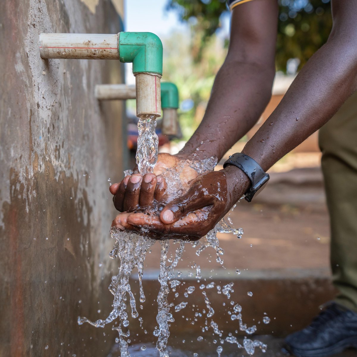Heifer's tweet image. ๐ From sunlight to sustenance ๐ฟ
In drought-prone Kiboga, Uganda, solar-powered water is transforming Scovia Kalegeyaโs dairy farm โ and her familyโs future. ๐๐ง
โI have found peace with the water being close by.โ
Learn more: ms.spr.ly/6017SAsZL
#CleanWater