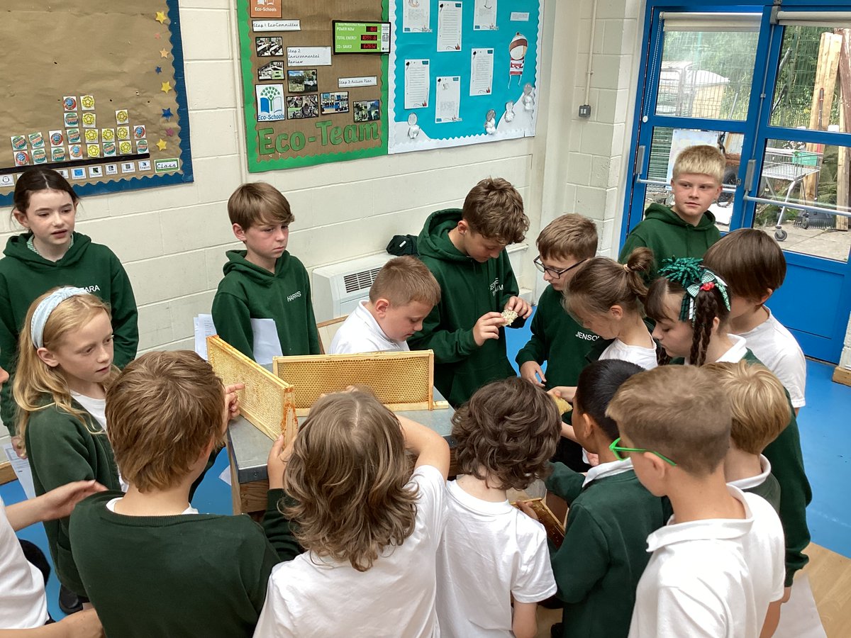 EcoGates's tweet image. Thanks to @HorwichHoney and Mr Cartwright today for joining us to teach us a little more about our pollinators friends. We learned about their habitats, eating habits and how to stay safe around them. #Collaboration #TheGatesSMSC