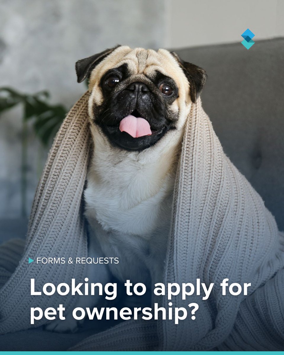StrataChoice's tweet photo. Just over a month ago, we saw the rollout of new rental laws making it easier for tenants to keep a pet 🏘️🐕

We have made the application process quick and easy for our clients. Simply fill out the form below, and we will process your request 👇

🌐 https://t.co/1tMgr0yGad https://t.co/L55vhktjiE
