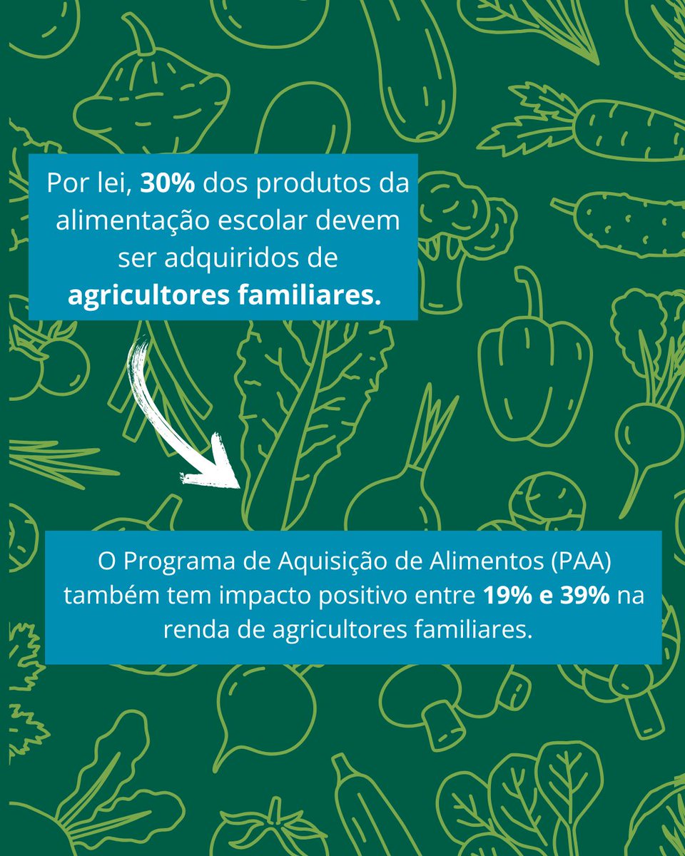 WFPBrasil's tweet photo. Pequenos agricultores que fornecem alimentos para o PNAE podem aumentar sua renda entre 23% e 106%!
O programa garante alimentação escolar saudável, com 30% dos produtos adquiridos de agricultores familiares.
Vamos apoiar mais essa iniciativa!🌱🇧🇷#AgriculturaFamiliar #PNAE https://t.co/BqBJwbE5EK