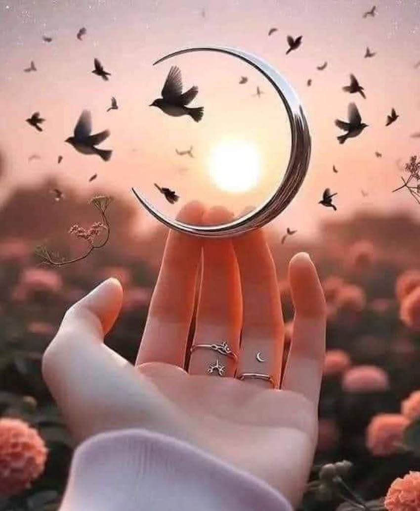 Tala🌸 tweet media