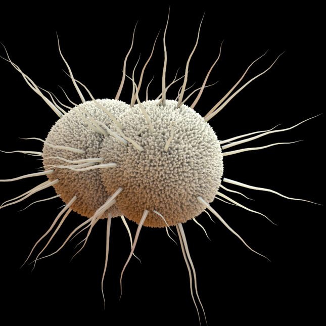 CanHealthwatch's tweet image. Use of 'doxy PEP' to reduce STIs appears to fuel some antibiotic resistance statnews.com/2025/07/09/doxβ¦
π πΌπΏπ² π»π²ππ β’ CanadaHealthwatch.ca π