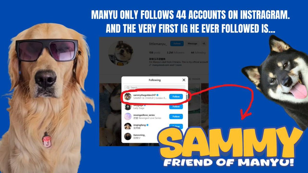 SammyETH_CTO's tweet photo. @ManyuShiba @kucoincom Yooo $MANYU nice hat!

It's $SAMMY I noticed you followed me on Instagram. I am coming to join you at the top 

0x81382220e03d3296cb98F3572e2557D793e258a2 https://t.co/Pavx2qgjaY