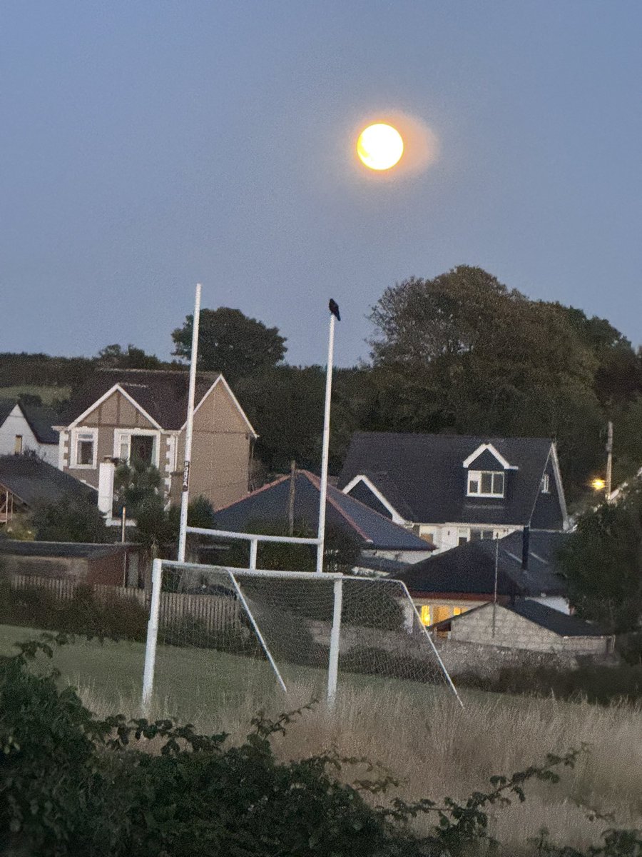 JackiHicks's tweet image. Good night 💤 #viewfrommywindow 🌛