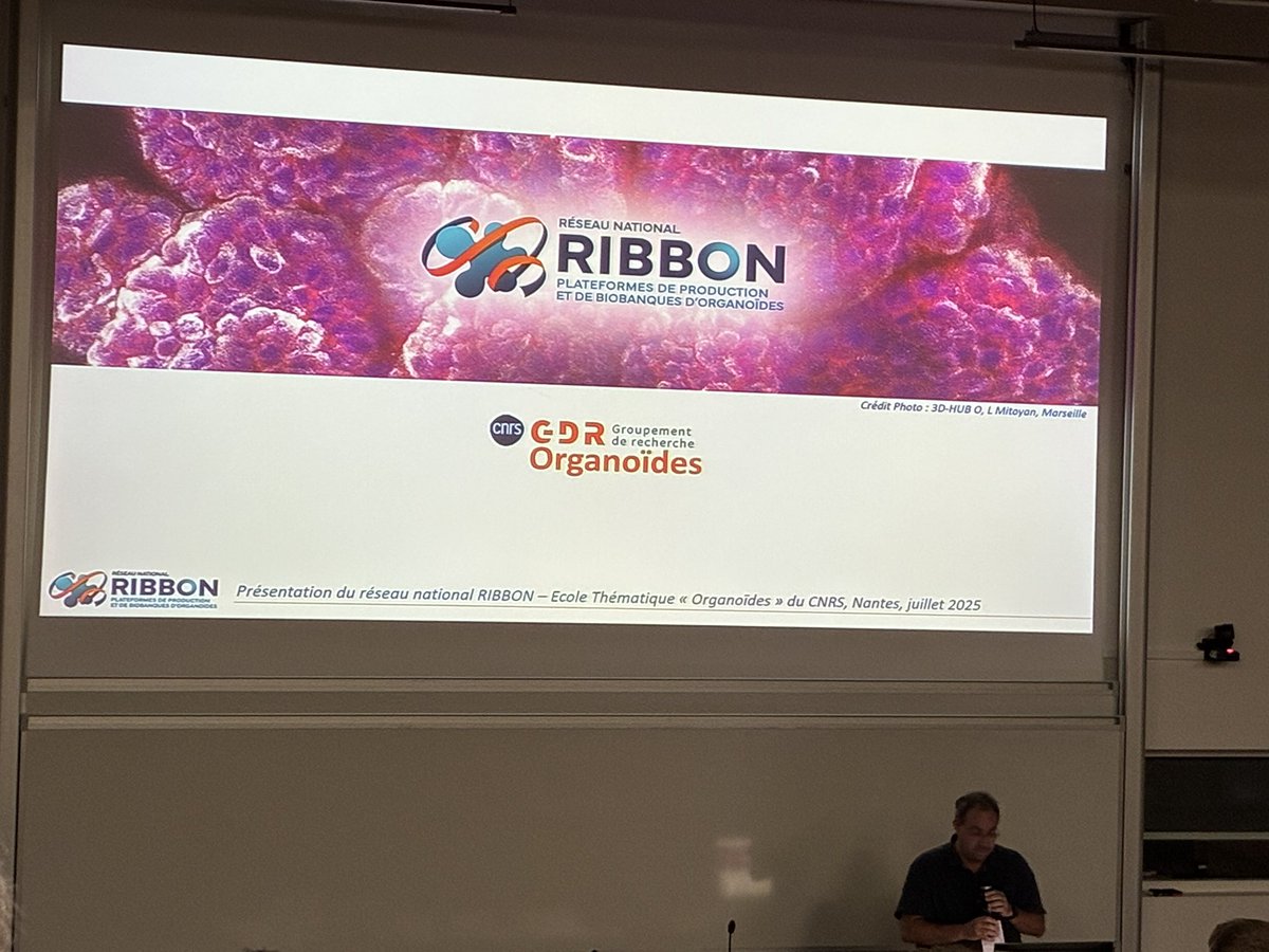 GDR Organoïdes tweet media