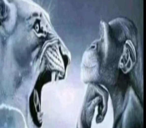 Neutralito tweet media