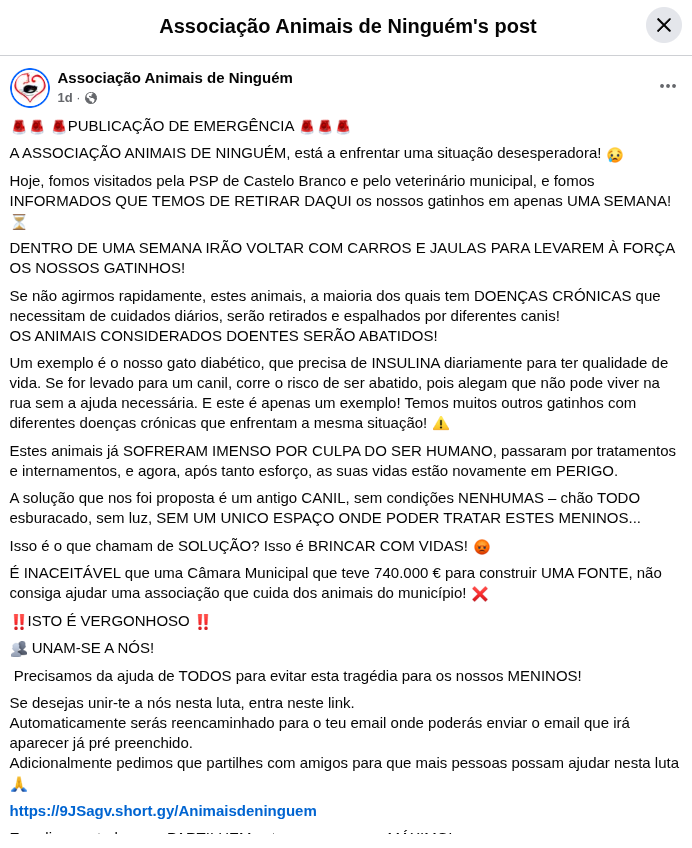 XGuerrillaCoder's tweet image. 