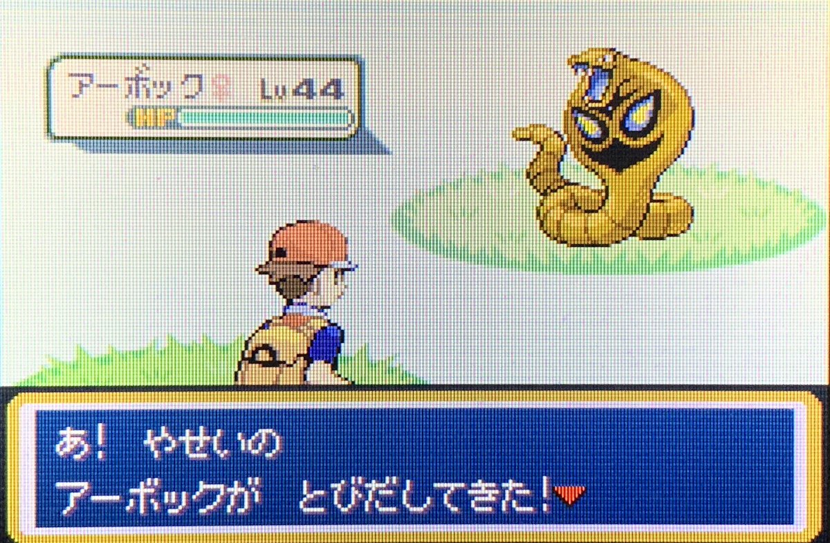DOM1NaT0r1234's tweet image. Shiny Arbok in FireRed after 5,678 encounters!
Still gotta stick around in LeafGreen to get Sandslash but what a cool hunt to have completed!
This makes 104/151 for my Kanto Shiny Living Dex!