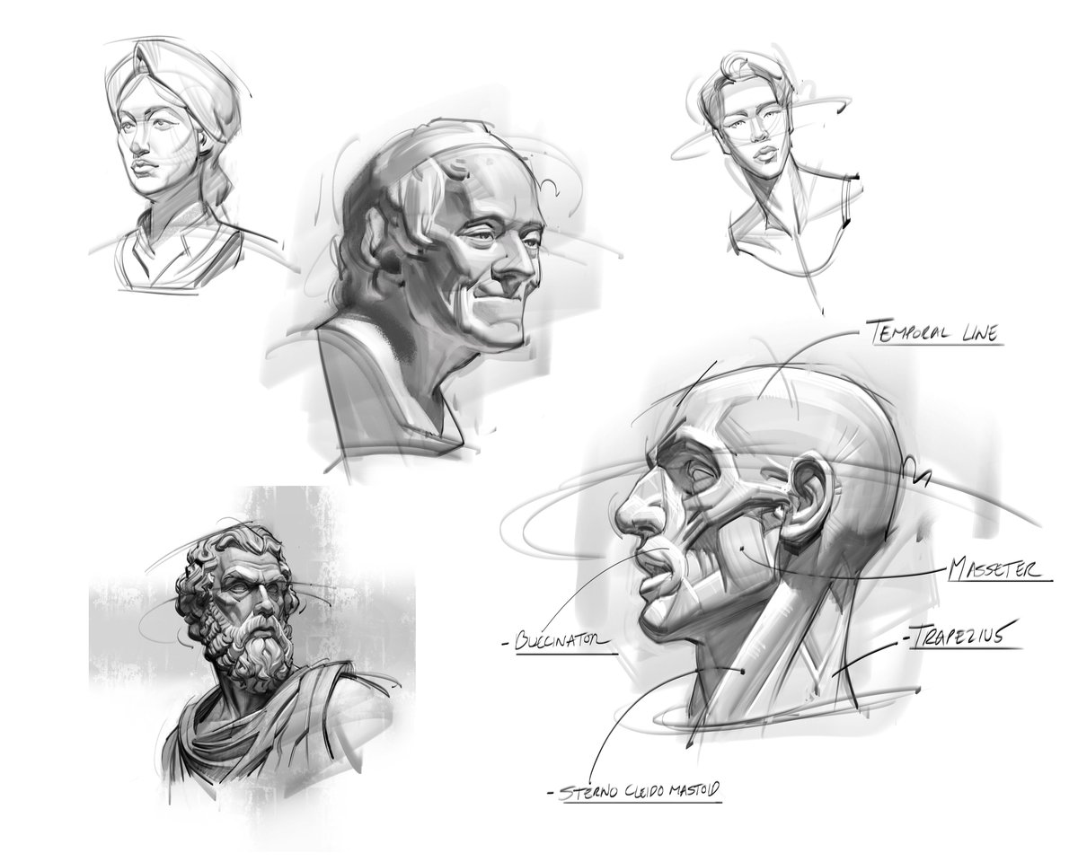 Sculpture studies and sketches! #sketches #figuredrawing #gesturedrawing #gottogetbetter #goals #faces #sculpture #humananatomy #anatomy #lineart #shading #figurativeart