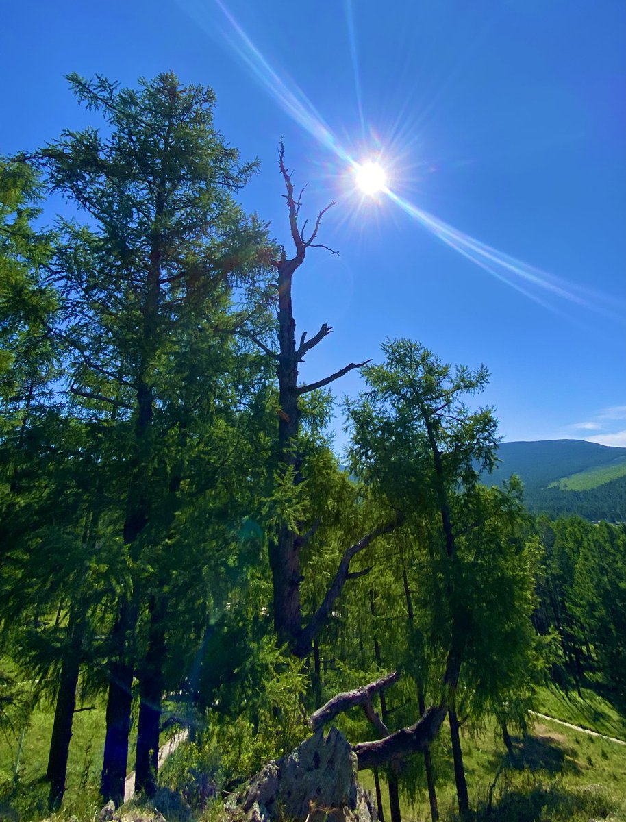 Гэгээн сайхан өглөөний мэндийг
Та бүхэндээ хүргэе🌅