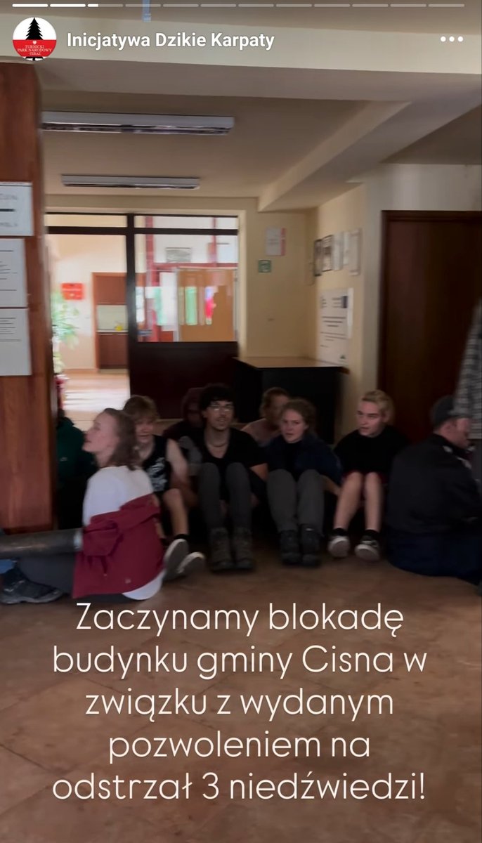 Po wystąpieniu o odstrzał trzech niedźwiedzi, Gmina Cisna została zablokowana przez przyrodników z <a href="/IKarpaty/">Inicjatywa Dzikie Karpaty</a>
No jak ich nie lubić?