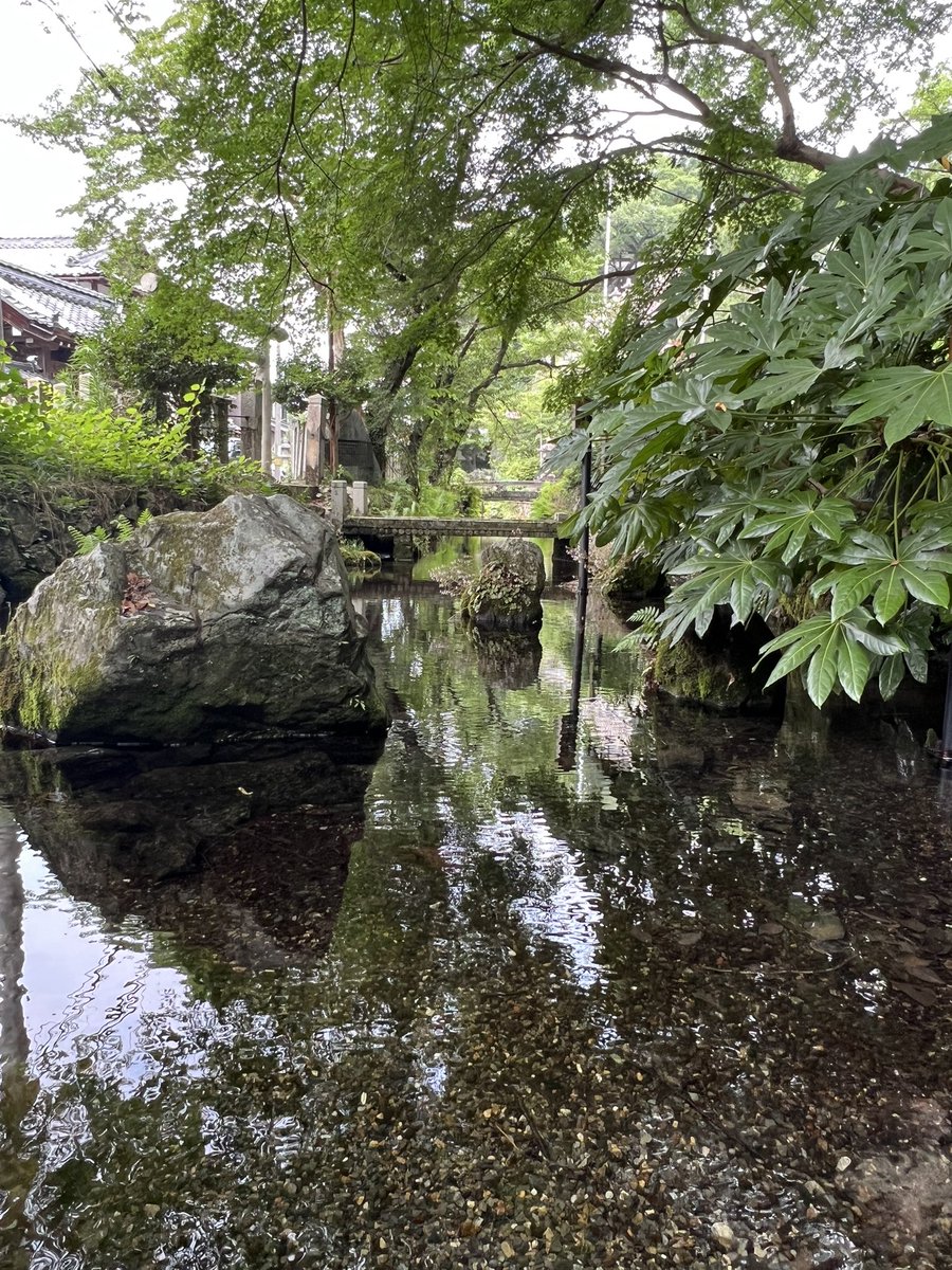 k_tamago_power's tweet image. 【醒井地蔵川】
『源泉』
暑過ぎて涼を求めて源泉にやってきました😊水がめちゃくちゃ綺麗でめちゃくちゃ冷たくて手や腕に水をかけるとめちゃくちゃ気持ち良かったです😆