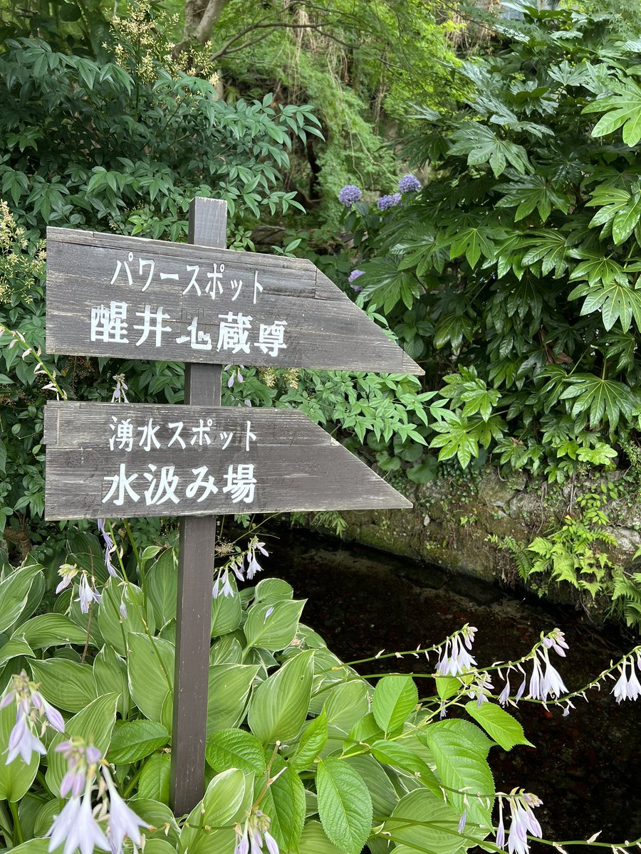 k_tamago_power's tweet image. 【醒井地蔵川】
『源泉』
暑過ぎて涼を求めて源泉にやってきました😊水がめちゃくちゃ綺麗でめちゃくちゃ冷たくて手や腕に水をかけるとめちゃくちゃ気持ち良かったです😆