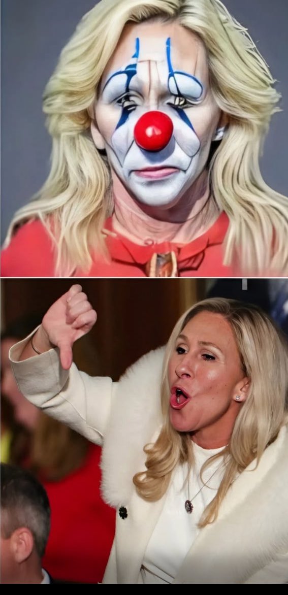Brad on X: "Kimmel TORCHES MTG on Live TV After She Demands His Arrest!!  She's a f**king tool. https://t.co/xTrm9Ukk0K" / X