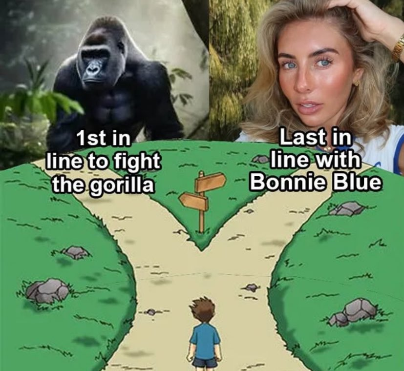 GordoGPT 🏴‍☠️ (@gordodeinternet) on Twitter photo 