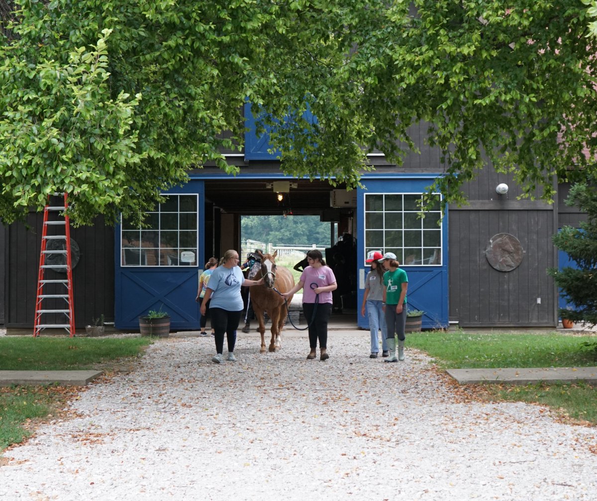 The first week back from summer recess is going strong with the first July equine camp! Campers will be educated on the horse industry and receive hands-on experiences about equine care.