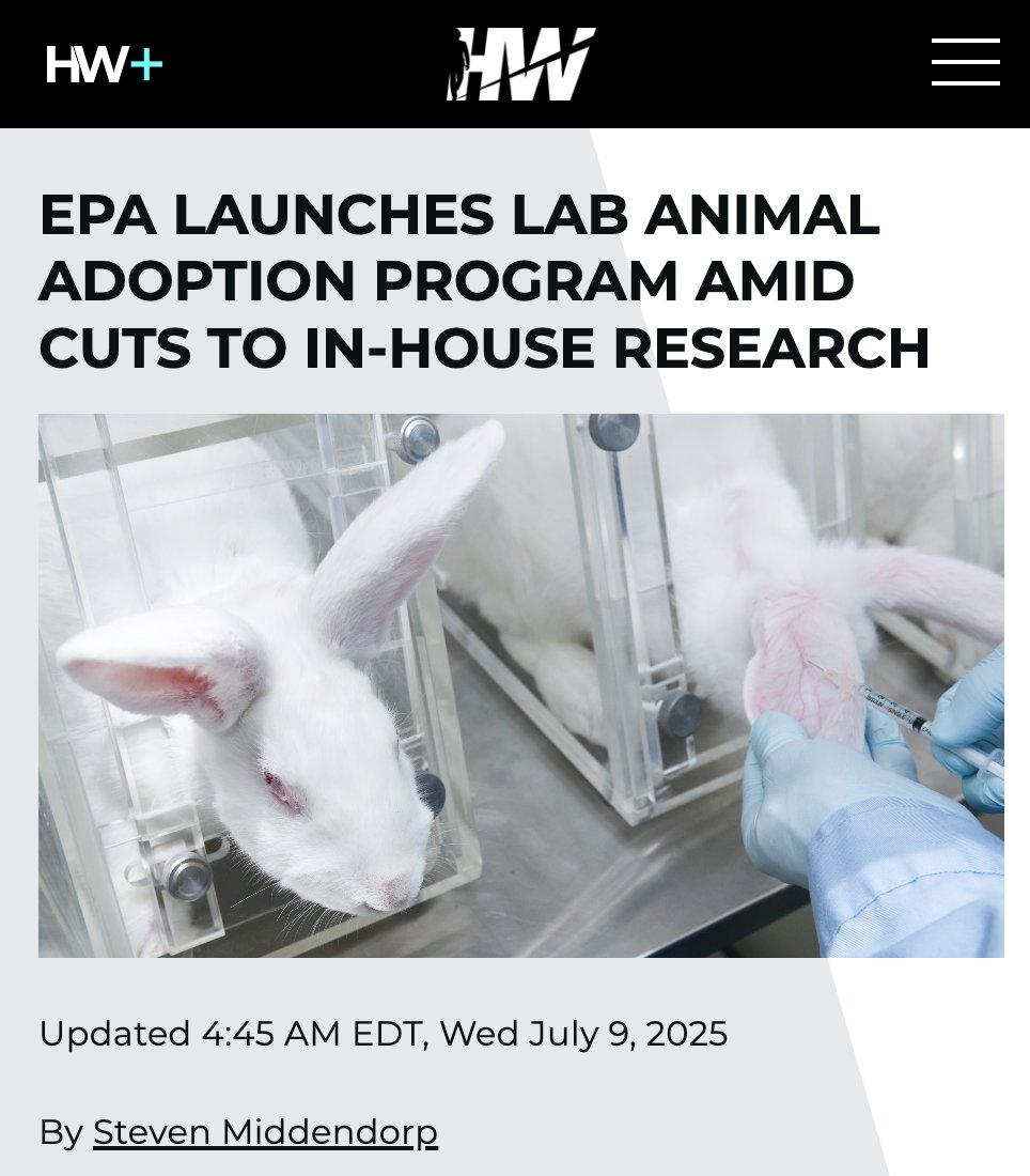 PhaedraXTeddy's tweet image. ThankYouSOMuch ✨️@epaleezeldin ✨️ and @potus✨️ for retiring lab animals for adoption!
 🆘️ @NIH @DrJBhattacharya  please #StopAnimalTesting and retire all the animals for sanctuary and adoption too!
