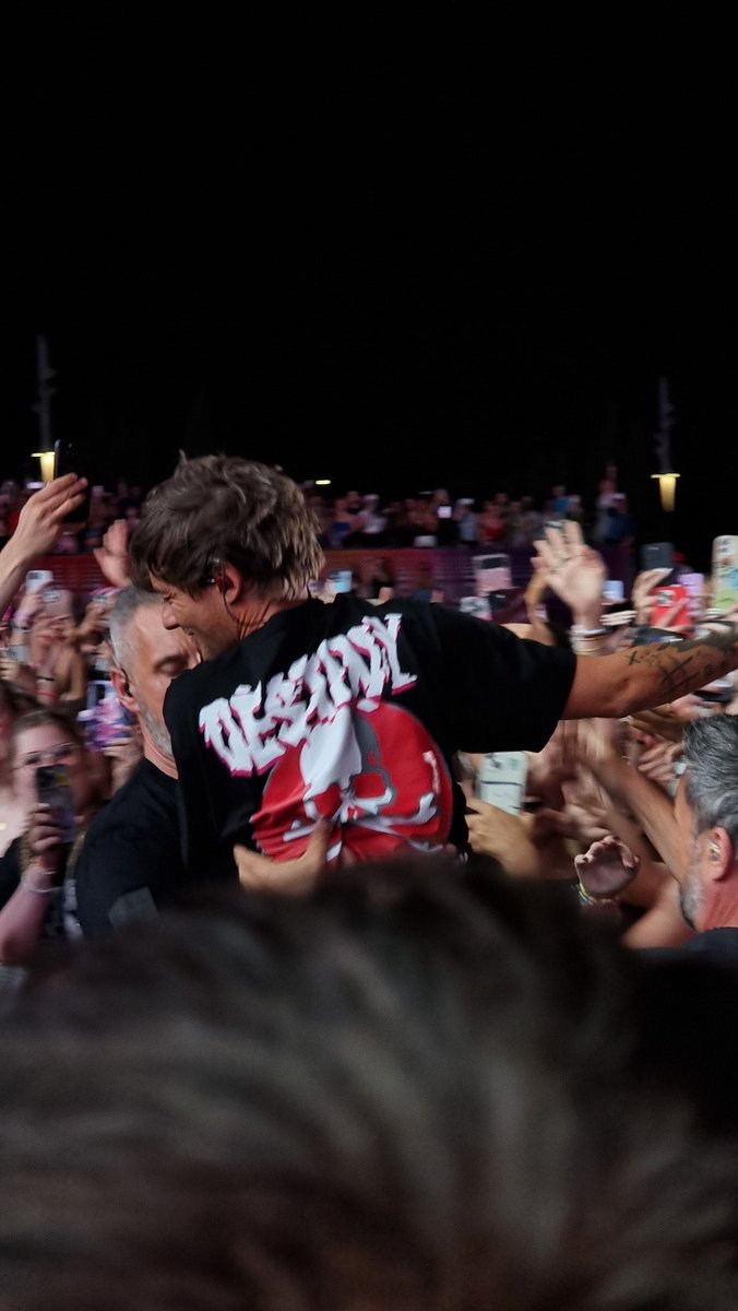 📸| Louis Tomlinson at barricade! #EjektFestival

— emsfinewalls