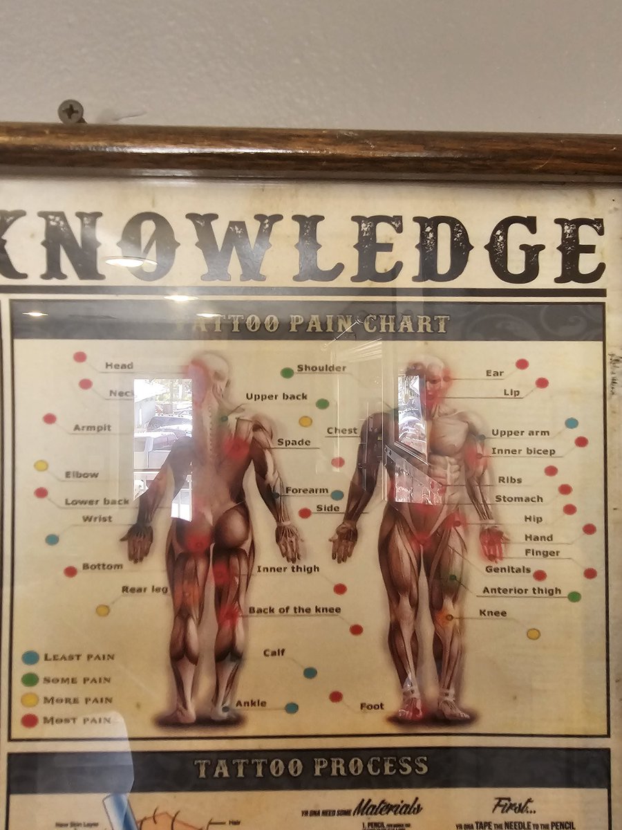 MarkedByOz's tweet photo. "WhAt'S THE mOsT PaInFul SpOt?"

Do you agree with this chart? 

#tattooartist #TattooApprentice #Tattoos https://t.co/JUnATPmDUn
