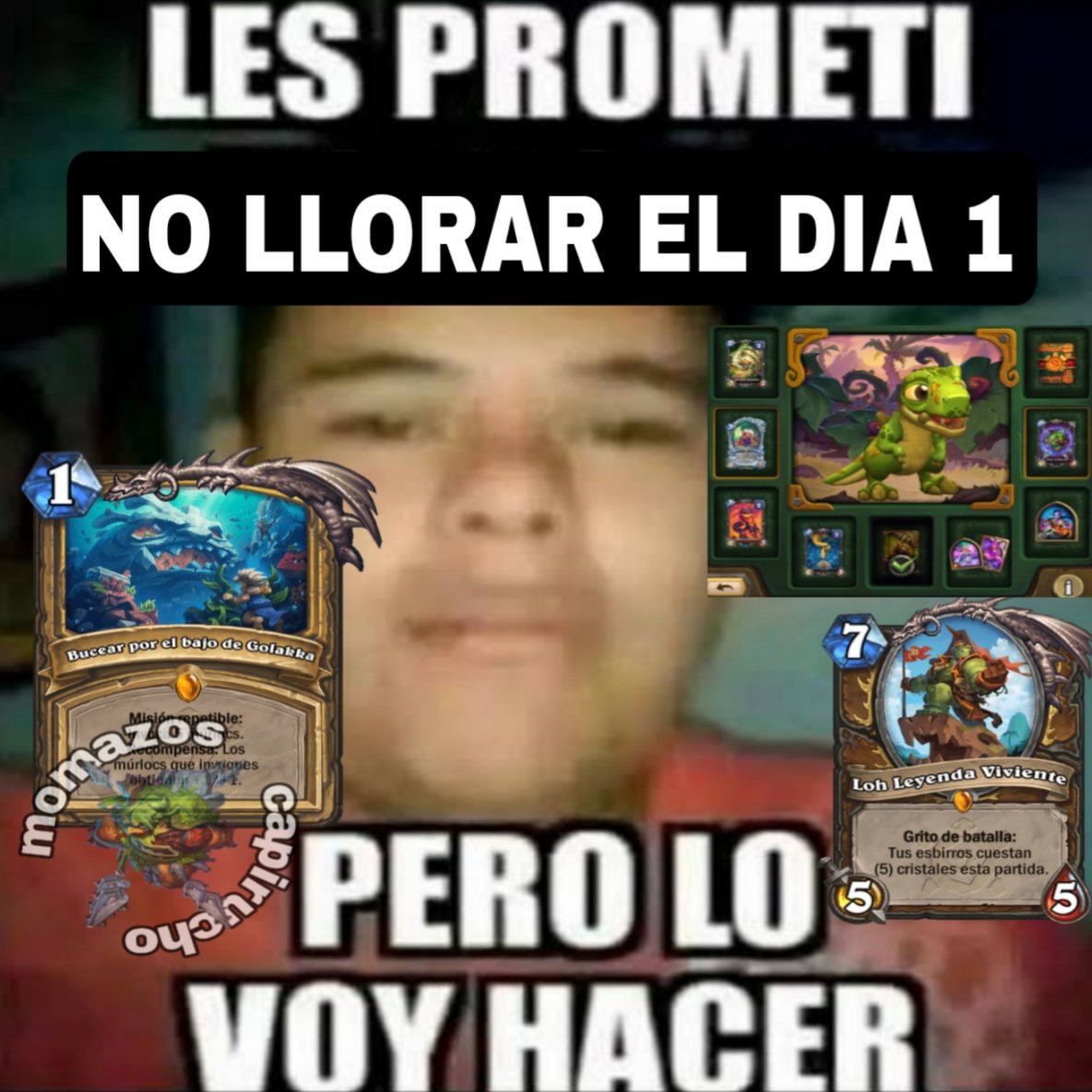 muchas lágrimas de hombre 🥲 #Hearthstone