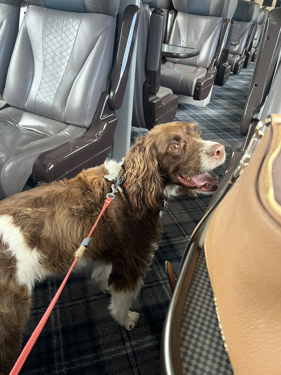 And so it’s the end of Dukes mini break of beach and swimming in the highlands… A lovely journey home, chatting to friendly <a href="/ScotRail/">ScotRail</a> colleagues on our journey and a chance meeting with Frank Roach meant chewing the fat on all things <a href="/HITRANS_RTP/">HITRANS</a> and Friends of the Far North.