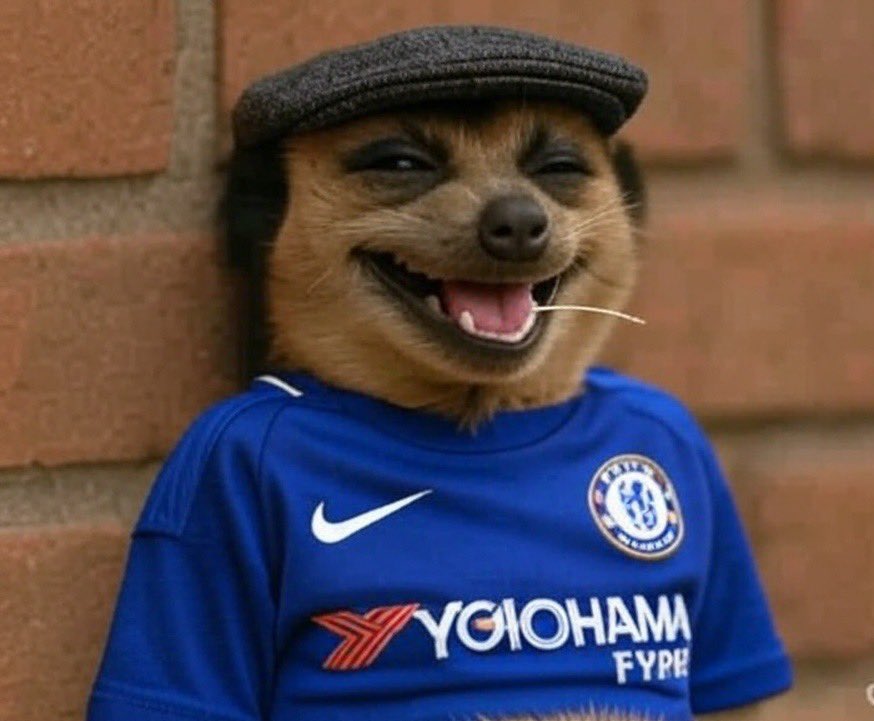 cindy_blog's tweet photo. They should just hand PSG the trophy and save Chelsea the embarrassment...

Why delay the inevitable? https://t.co/7dPVMtcsG0