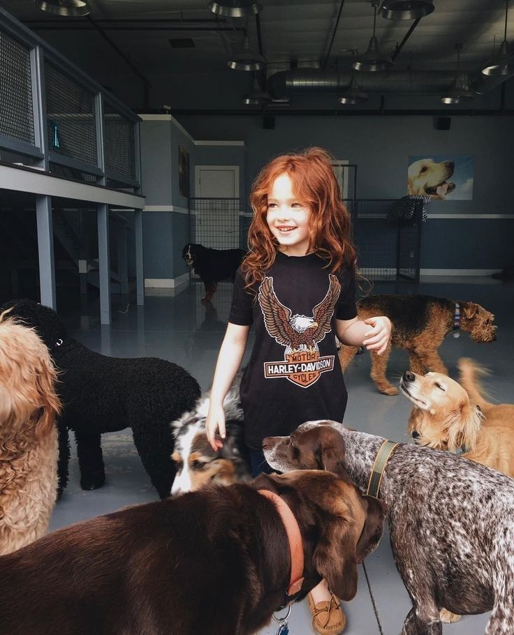 𝑯𝒐𝒍𝒊𝒊𝒔𝒔 𝒔𝒐𝒚 𝑫𝒊𝒂𝒏𝒂 𝑺𝒂𝒍𝒗𝒂𝒕𝒐𝒓𝒆 𝒕𝒆𝒏𝒈𝒐 7 𝒂𝒏̃𝒊𝒕𝒐𝒔 𝒎𝒆 𝒈𝒖𝒔𝒕𝒂𝒏 𝒎𝒖𝒄𝒉𝒐 𝒍𝒐𝒔 𝒑𝒆𝒓𝒓𝒊𝒕𝒐𝒔 𝒚 𝒆𝒔𝒕𝒂𝒓 𝒄𝒐𝒏 𝒎𝒊 𝒎𝒂𝒎𝒊𝒕𝒂.