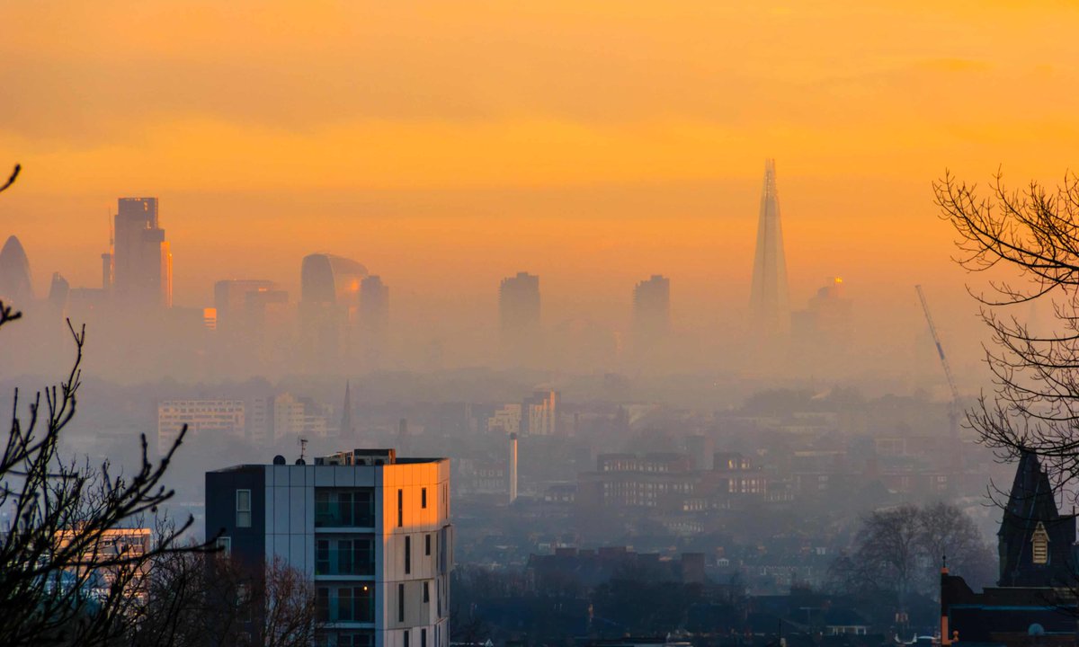 Ian Kremer (@lead_coalition) on Twitter photo Evidence grows of air #pollution link with #dementia and #stroke risk theguardian.com/environment/20… by @drgaryfuller <a href="/guardian/">The Guardian</a>
#Alzheimers #health #environment #climatecrisis Evidence grows of air #pollution link with #dementia and #stroke risk theguardian.com/environment/20… by @drgaryfuller <a href="/guardian/">The Guardian</a>
#Alzheimers #health #environment #climatecrisis