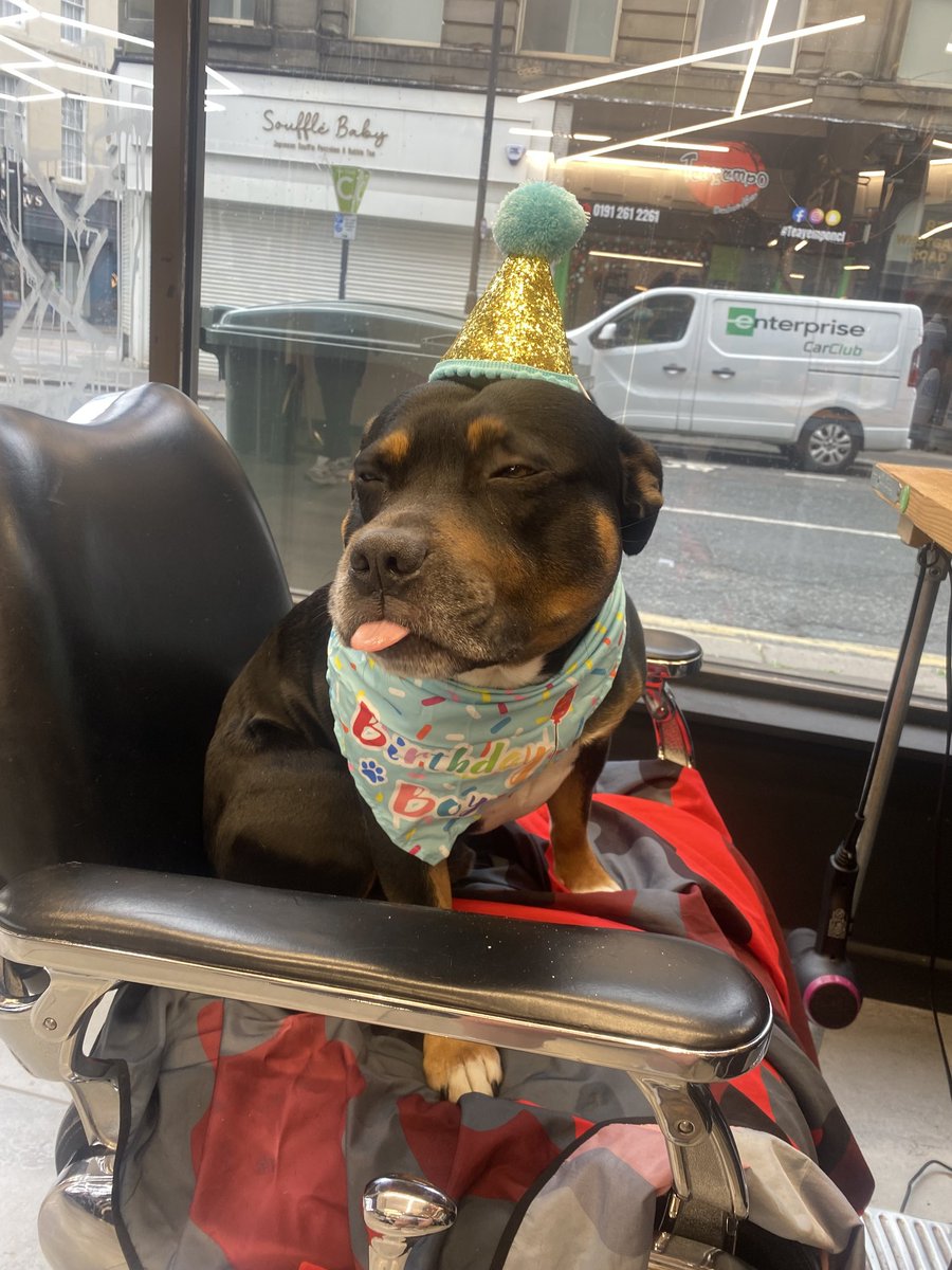 COSTA (Constantine) went missing on Monday 8 July 2025 around 12pm while hiking on Cruach Ardrain, near #Crianlarich, near the summit, in the Scottish Highlands #FK20 
Wearing a green khaki collar 
If anyone is #hiking in the area or know anyone local, keep a lookout for Costa.