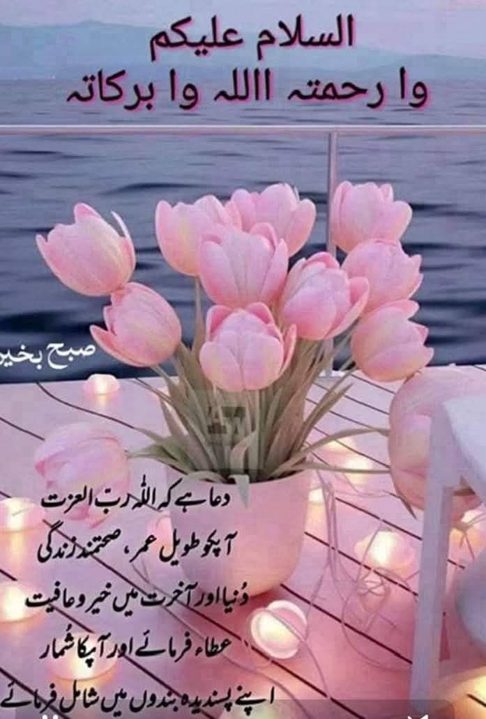 🌹🌺🌹🌺To all🌹🌺🌹🌺