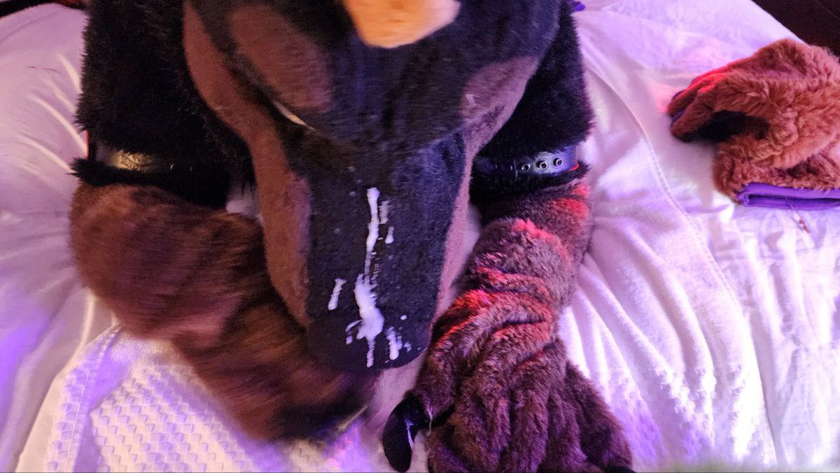 Daddy Dober (@daddydober) on Twitter photo While I was getting bred by <a href="/midnight_snacc/">Sweaty Yeen Behavior</a>, <a href="/BoseKatAD/">Böse Katze</a> busted a huge load on my muzzle!
Video coming soon 😏 While I was getting bred by <a href="/midnight_snacc/">Sweaty Yeen Behavior</a>, <a href="/BoseKatAD/">Böse Katze</a> busted a huge load on my muzzle!
Video coming soon 😏