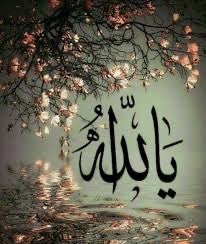 اللهُم أغث قلوبنا بأملٍ لا ينقطع  وأنبت بصدورنا إنشراحًا وخُضرةً لا تذبل واجعلنا مُبتهلين حامدين وبلطفك مُتيقنين وتولى قلوبنا بكرمك ورحمتك 
الــلـهــღــم أمــيـــღــن💕