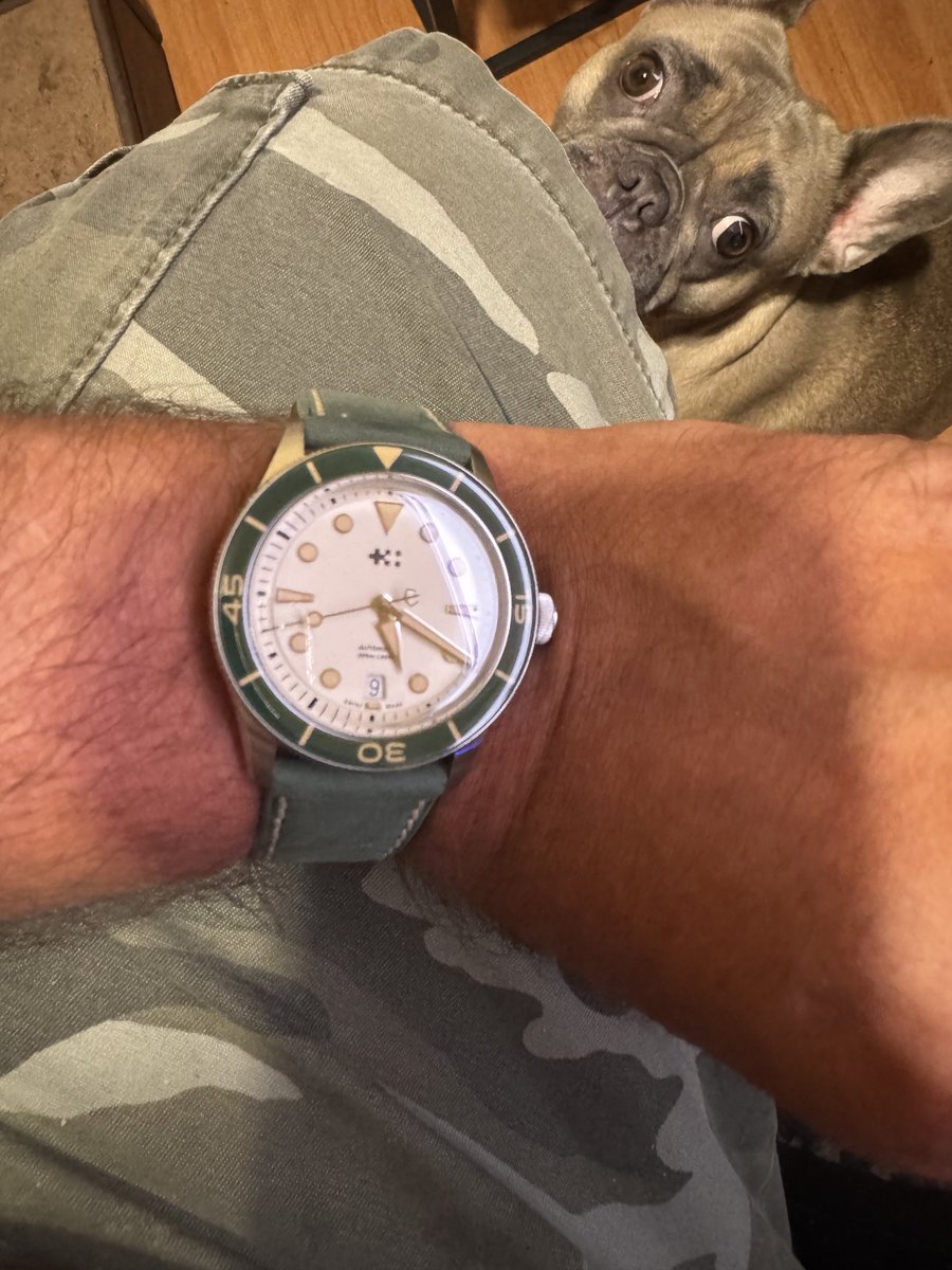 DGVET's tweet image. That Sale came in clutch thanks @ChrisWardLondon my first CW 🇬🇧
Words cannot express how great this watch feels on the wrist. The build is excellent. I love it. My dog Scarlet Witch approved. Thanks for that Banger price and fast delivery to the United States 🇺🇸 UK watch…