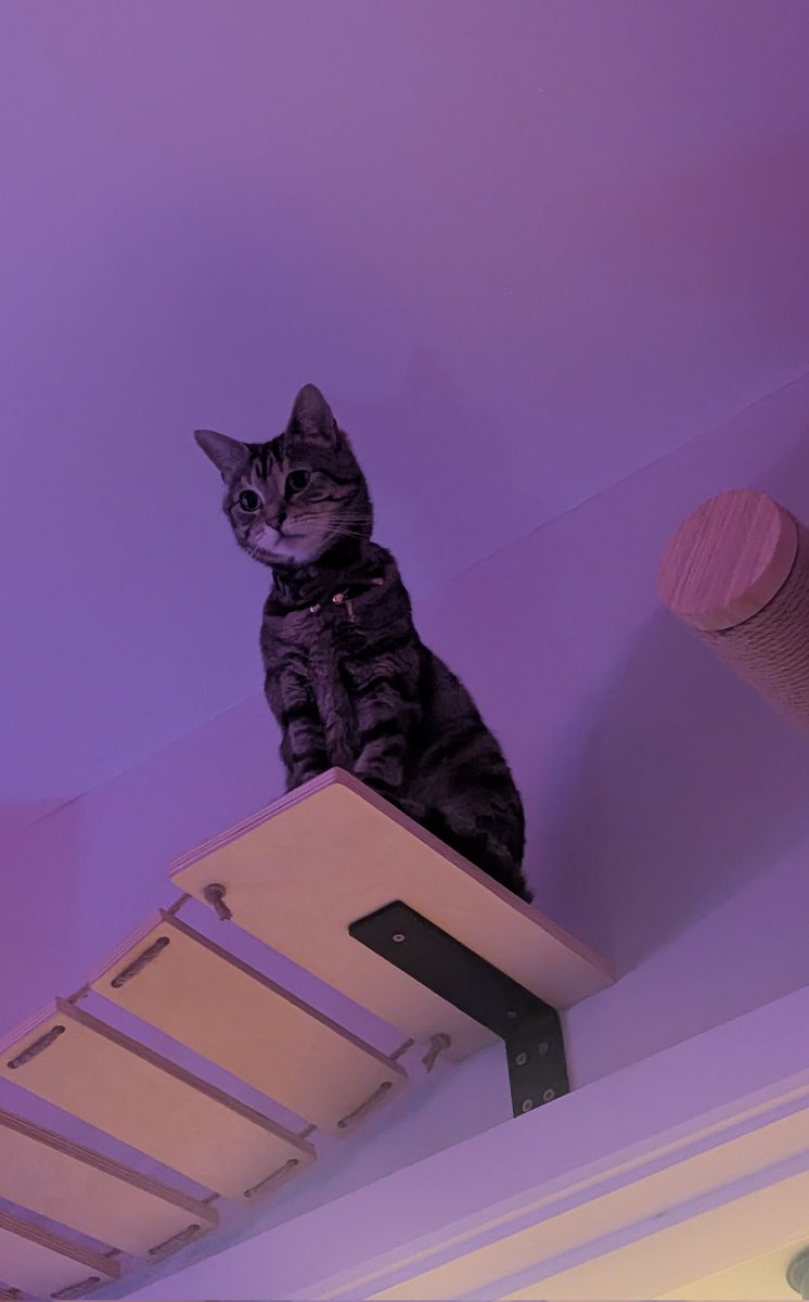 Everything the light touches is her kingdom, especially the shadowy place