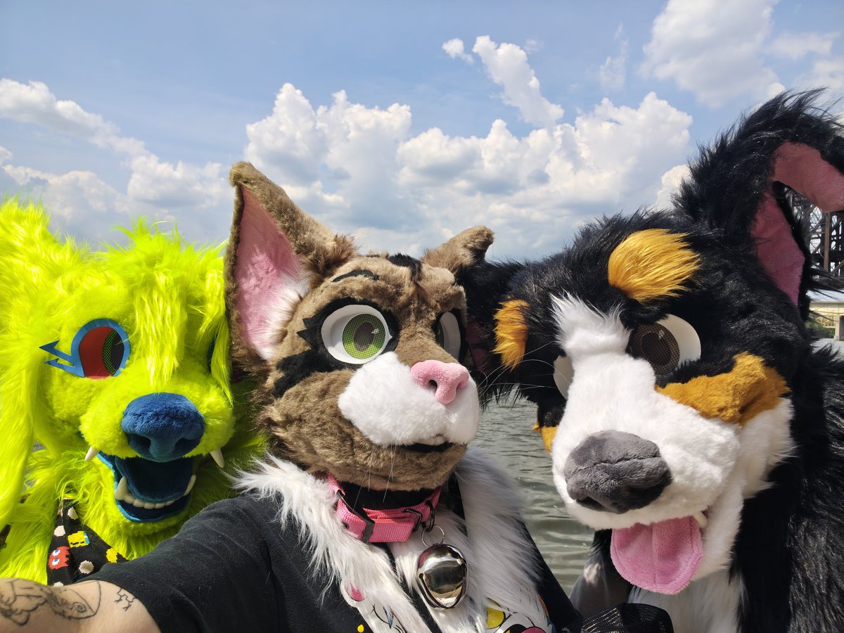 Tuna (Banjo Heeler)🔜Anthrocon tweet media
