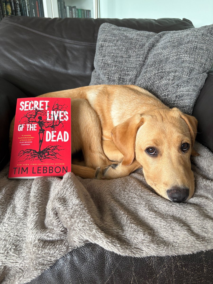 He wants you to read it.