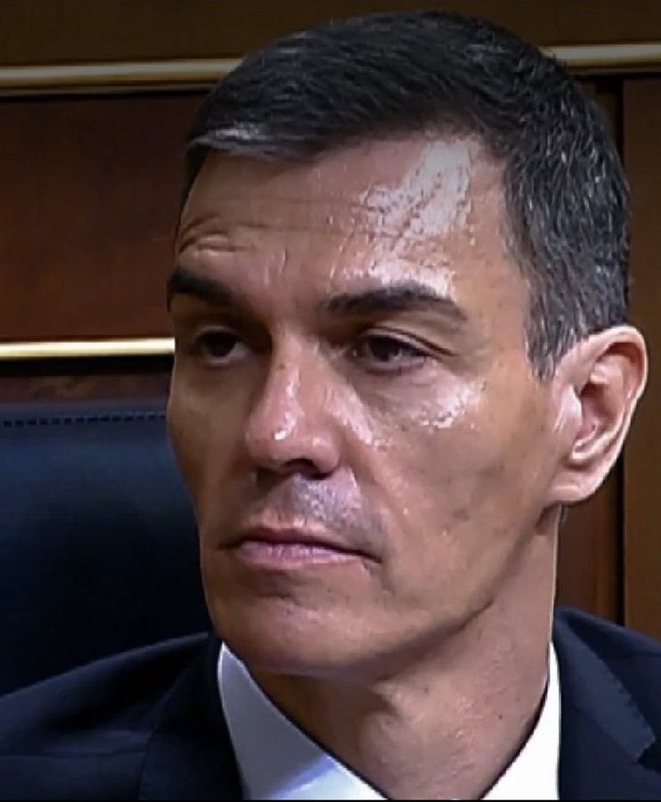 El Aguijón 🐝 tweet media