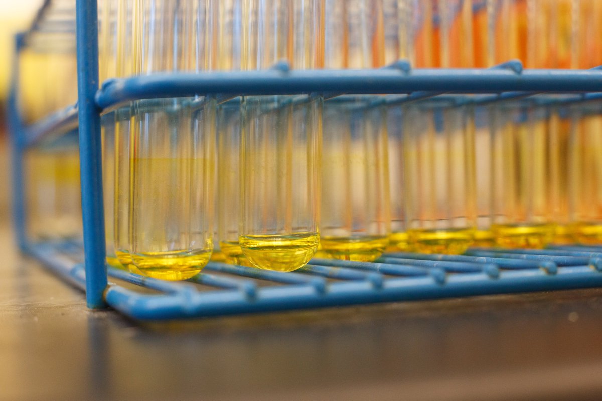 UFScripps's tweet image. Welcome to Jupiter, Zhonglin Liu!
Our genome has ~ 30,000 protein-coding genes, but only ~ 15% can be readily targeted with medicines. This is 1 reason why so many diseases remain untreatable! Liu invents new chemistry techniques, to help patients. wertheim.scripps.ufl.edu/2025/07/09/che…