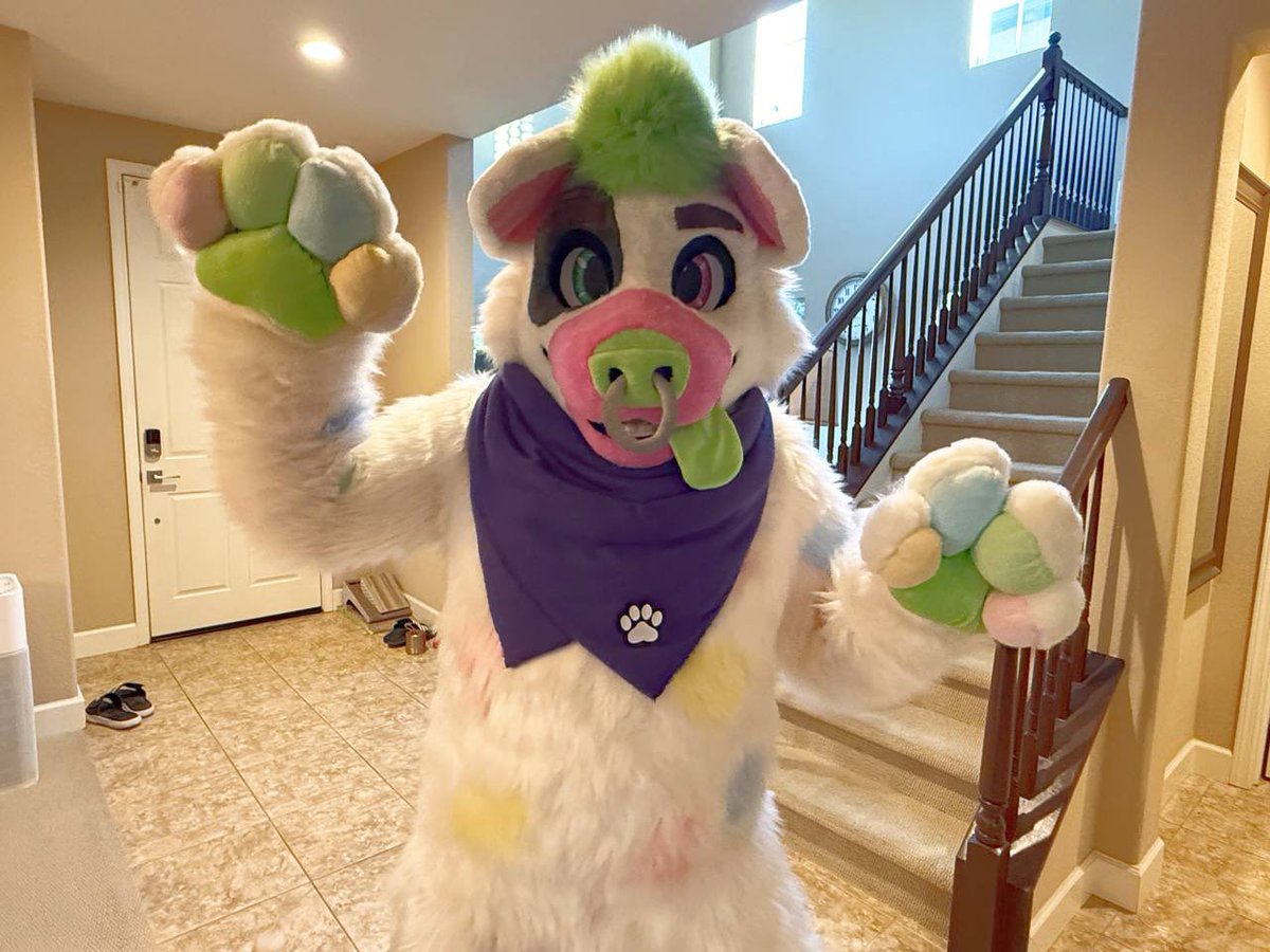 pudgepiggypup's tweet photo. Omfg Im real ??? ^^ Thank you so much @MorganasheDog and @GoldDogFursuits for helping bring Pudge and @mochimoosebear design to life ❤️❤️❤️❤️❤️. Bark Bark Bark You did a perfect job *snorts* https://t.co/dkSsj3SZRS