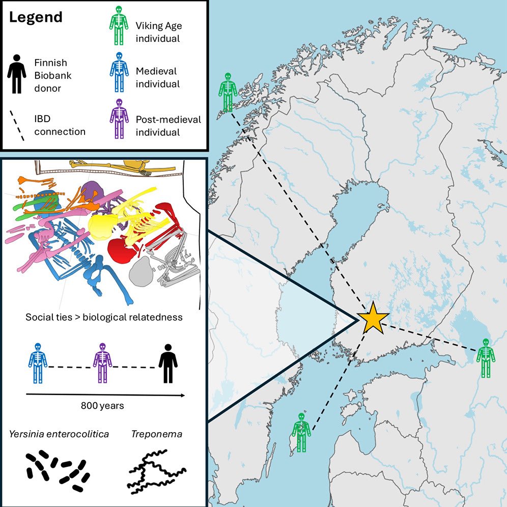 Archaeogenetics reveals fine-scale genetic continuity and patterns of kinship and health in medieval Finland

sciencedirect.com/science/articl…