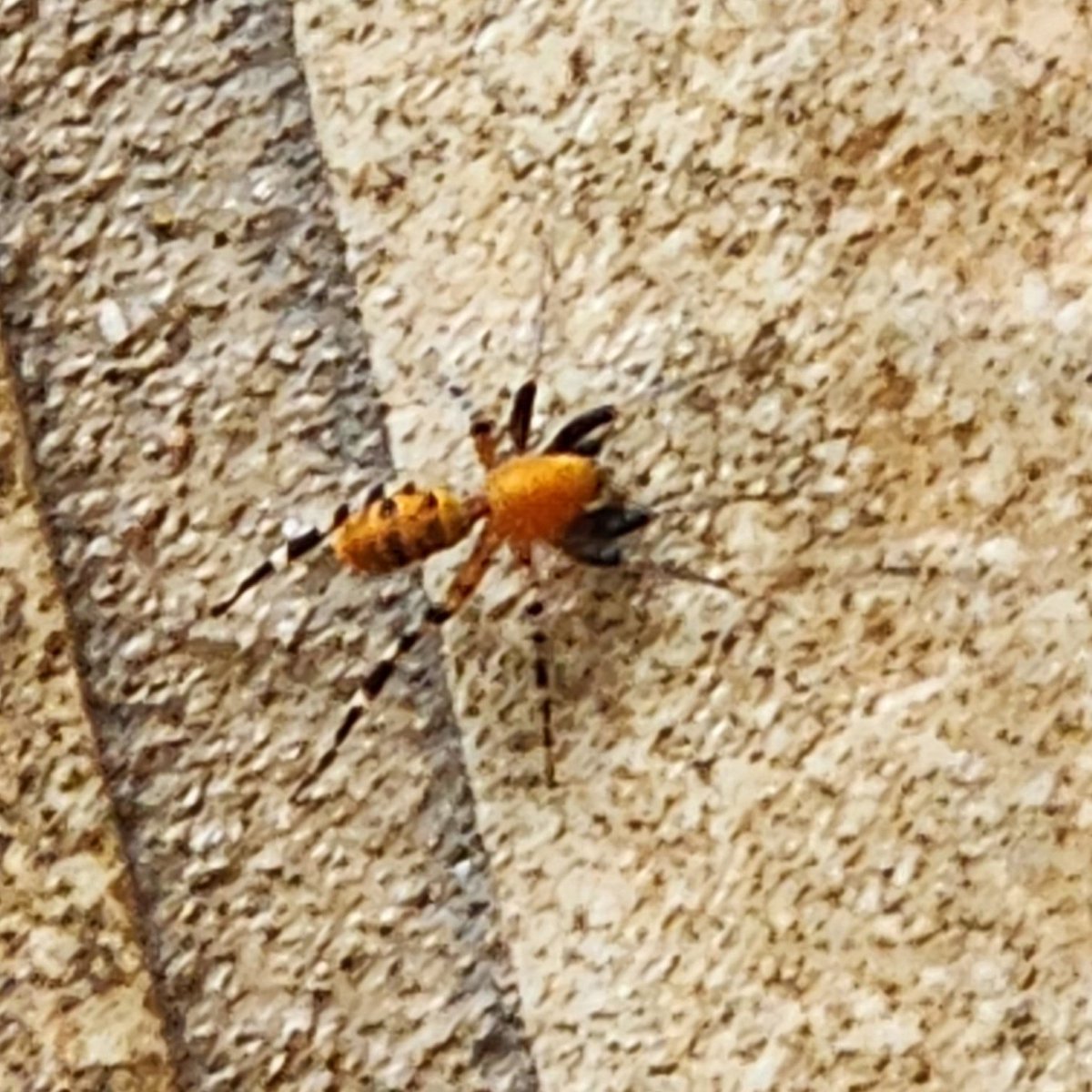 Keith Meurer tweet media