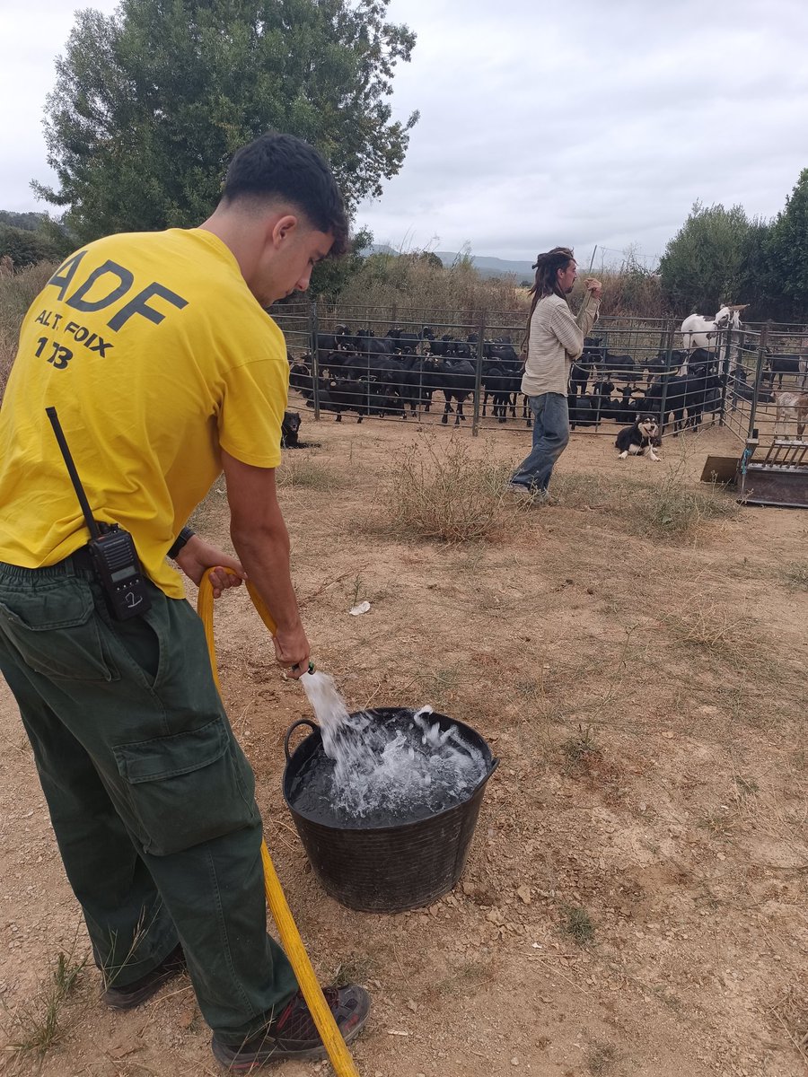 ADF Alt Foix tweet media