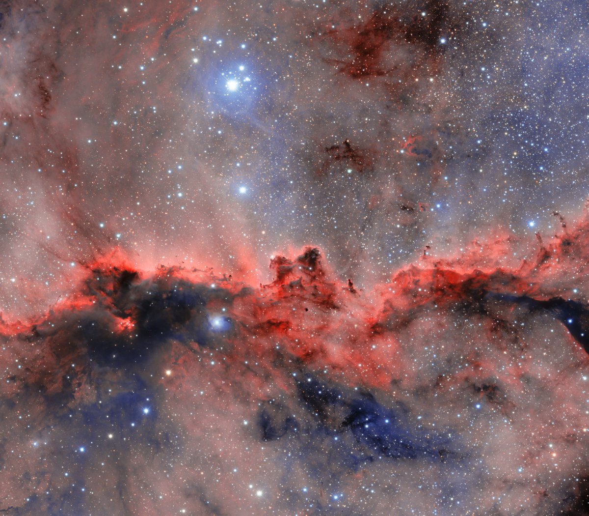 NOIRLabAstro's tweet image. Say hello to the Fighting Dragons of Ara!🐉 In this constellation, dust and gas form 2 ‘dragons’ facing each other. They’re lit up along their edges from baby stars born within, forming an emission nebula.
📸DES/DOE/Fermilab/NCSA & CTIO/NOIRLab/NSF/AURA/R. Colombari & M. Zamani