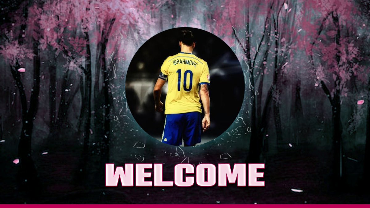 GalaxyAgency_'s tweet photo. Welcome to @Malshiks_ to Galaxy Agency 🤝

We're excited to have him with us, an underrated Fortnite Player who need support to elevate him to the next level. https://t.co/cRyeHOUadU
