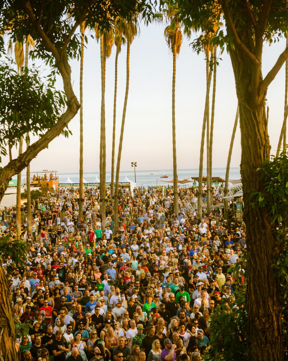 TheOhanaFest's tweet image. We Spy: A whole lot of good times ahead at Doheny ☀️
Drop a 🌴 if you and your crew scored tickets to Ohana Fest! Limited tickets remain, secure yours at ohanafest.com/tickets